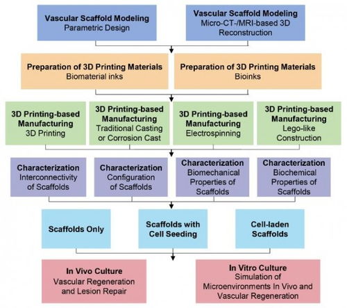 哈工大3D打印技術助力血管再生 組織工程支架的創新突破